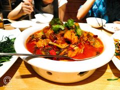 不正宗啤酒鱼-渔太泰漓江小馆·广西融合菜(西街店)