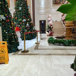 点击看大图 -禾丽康美医疗美容医院