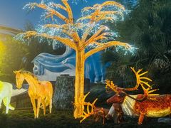 -上海玛雅海滩水公园