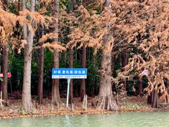 -上海海湾国家森林公园