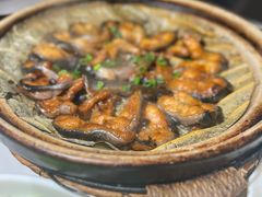 -舌尖上·霞浦滩涂海鲜·新闽菜(总店)