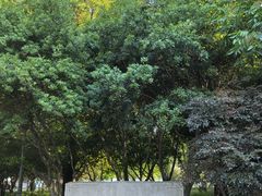 -高子水居