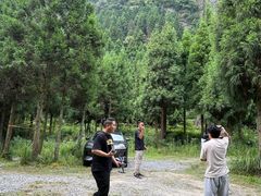 -重庆睡佛山森林公园