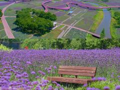 -江苏三台山国家森林公园