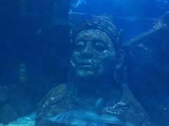 -暹罗海洋世界