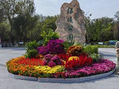 -绿堤公园