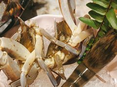 -阳光岛·海鲜盛宴(银泰中心in99店)