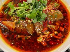 毛血旺-新旺茶餐厅(嘉里城店)