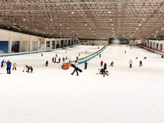 游乐设施-绍兴启迪乔波冰雪世界