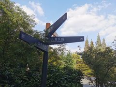 -兰溪青年公园