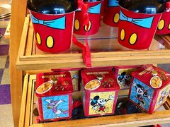 -巴黎迪士尼乐园