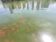 -迎泽公园