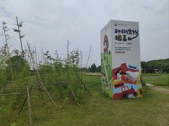 -嘉北郊野公园