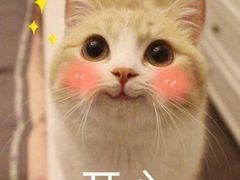 -麦当劳(北苑秋实路店)