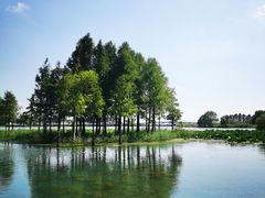 -贡湖湾湿地公园