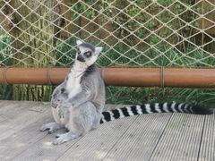 -北京野生动物园