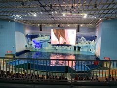 -福州罗源湾海洋世界旅游区