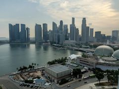 -新加坡文华东方酒店