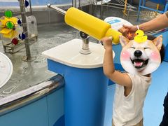 -苏州青少年科技馆