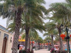 -三亚海昌梦幻海洋不夜城