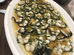 -呼吸森林·生态农庄农家乐私房菜