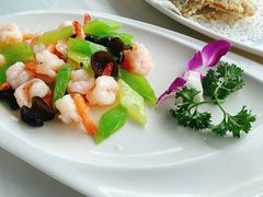 -云中小雅