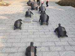 -广东惠东海龟国家级自然保护区