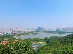 -香云轩·顺德菜(香云纱园林酒店店)