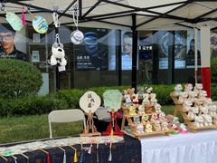 -东北大学附属辽宁爱尔眼科医院