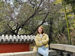 -泰山风景名胜区-普照寺