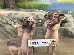-正佳雨林生态植物园