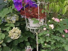 -三圣花乡旅游区