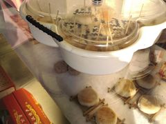-矮子馅饼(大成路店)