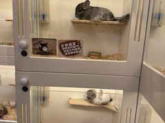 -龙猫仔乐园(惠福东路店)