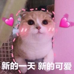 -星耀美业·品质网购