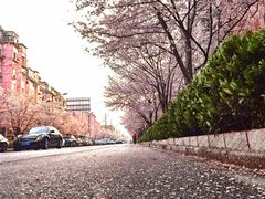 -永乐路-路侧停车场