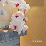 深圳新店☕