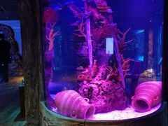 -沈阳海洋探索中心