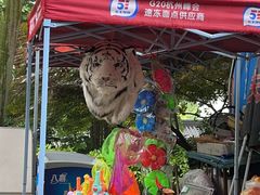-赭山公园
