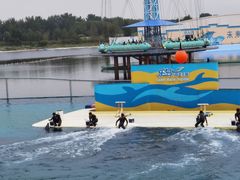 -秦皇岛乐岛海洋王国