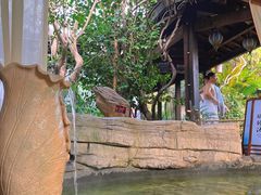 -杭州第一世界大酒店·云曼温泉