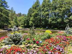 -庐山风景区花径公园