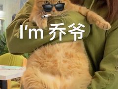 -JOJO实景沉浸侦探剧本杀(大悦城店)
