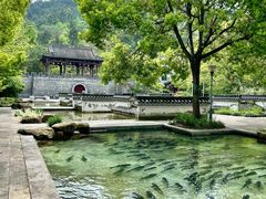 -梦姑塘文化公园