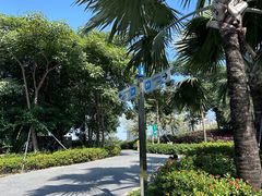 -宝安西湾红树林湿地公园