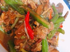 锅仔宽粉炖土鸡-粥旺府(月环里店)