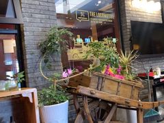 -苹果树下艺术餐厅(通州店)