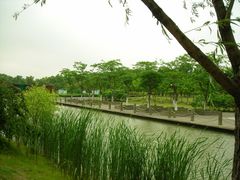 -白塘生态植物园