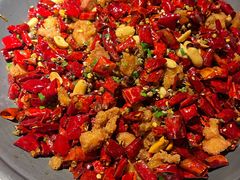 -向川南·水煮鱼·川菜(和平里店)