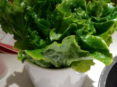 -古乐牛香·鲜牛肉牛杂火锅(新区店)